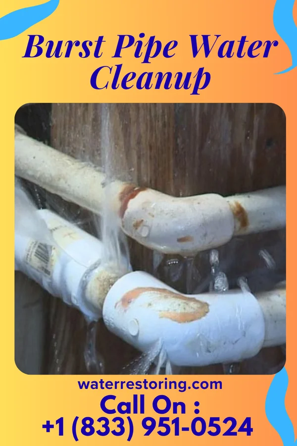 Burst Pipe Water Cleanup in Hugo, CO
