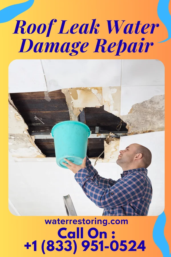 Roof Leak Water Damage Repair in Hugo, CO